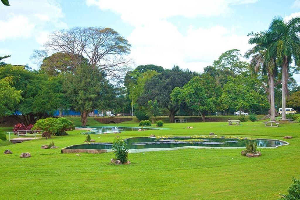 Raynebow Chateau - Chic City Getaway Port of Spain Eksteriør bilde